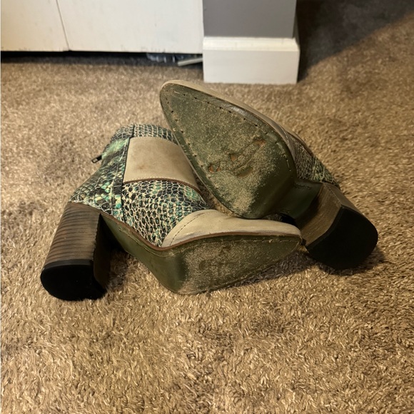 Freebird - Picture 6 of 7